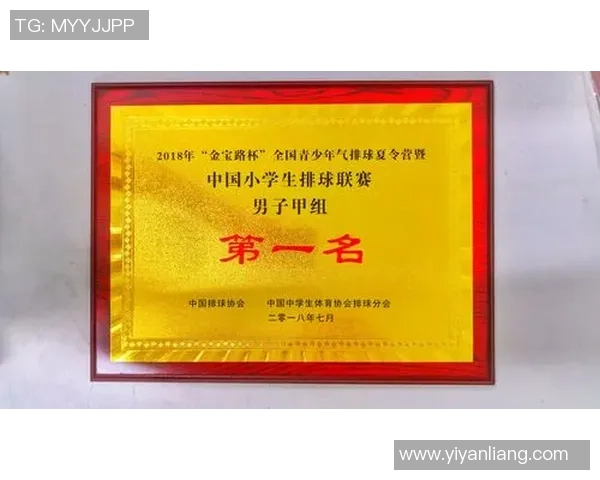 武汉排球队在冠军赛中的个人能力分析与表现评估 武汉排球队在冠军赛中的个人能力分析与表现评估