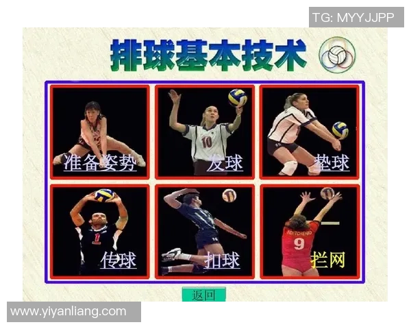 排球盛宴：深入解析西安排球队的实力与战术魅力