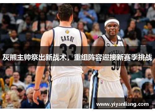 灰熊主帅祭出新战术，重组阵容迎接新赛季挑战