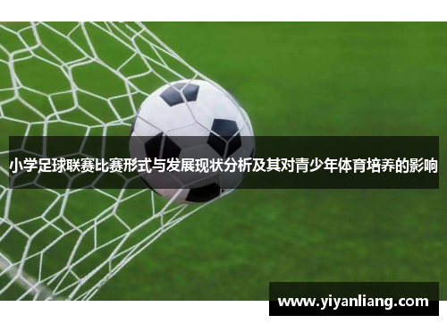 小学足球联赛比赛形式与发展现状分析及其对青少年体育培养的影响