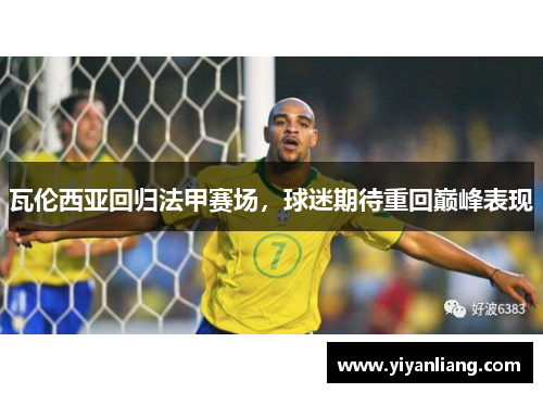 瓦伦西亚回归法甲赛场，球迷期待重回巅峰表现